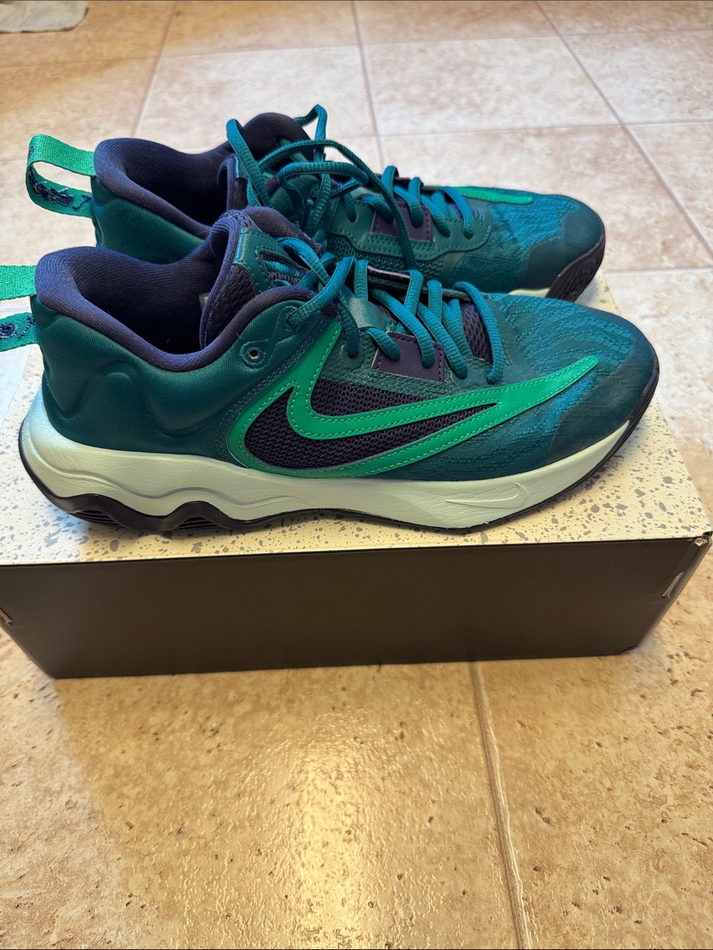 Nike Giannis Immortality 3 Men’s Geode Teal & Purple Athletic Sneakers size 8